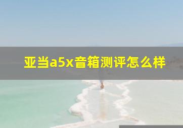 亚当a5x音箱测评怎么样