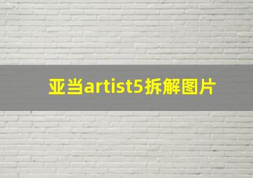 亚当artist5拆解图片