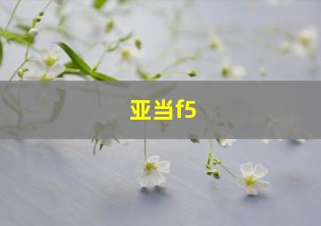 亚当f5