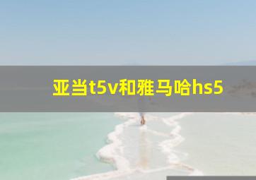 亚当t5v和雅马哈hs5