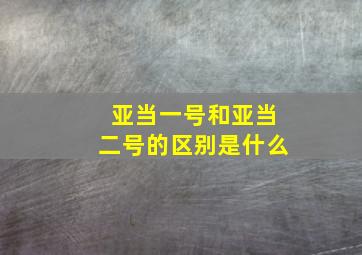 亚当一号和亚当二号的区别是什么