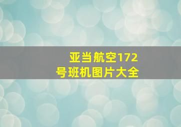 亚当航空172号班机图片大全