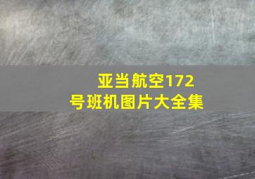 亚当航空172号班机图片大全集