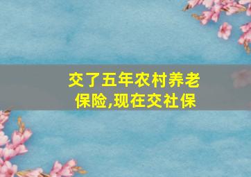 交了五年农村养老保险,现在交社保