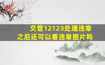 交管12123处理违章之后还可以看违章图片吗