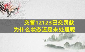 交管12123已交罚款为什么状态还是未处理呢