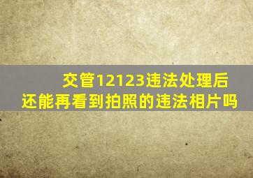 交管12123违法处理后还能再看到拍照的违法相片吗