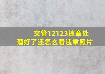 交管12123违章处理好了还怎么看违章照片