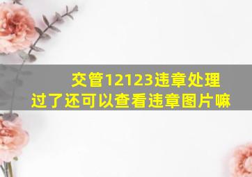 交管12123违章处理过了还可以查看违章图片嘛