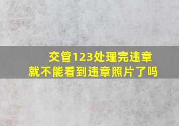 交管123处理完违章就不能看到违章照片了吗