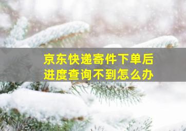 京东快递寄件下单后进度查询不到怎么办