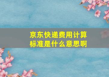 京东快递费用计算标准是什么意思啊