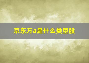 京东方a是什么类型股