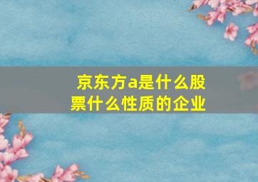 京东方a是什么股票什么性质的企业