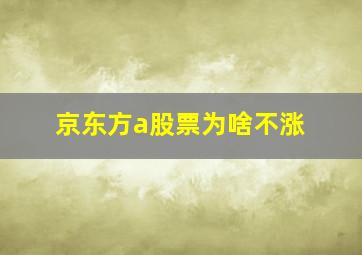 京东方a股票为啥不涨