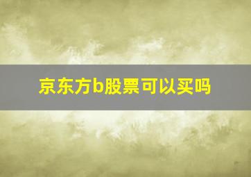 京东方b股票可以买吗