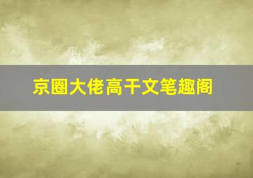 京圈大佬高干文笔趣阁