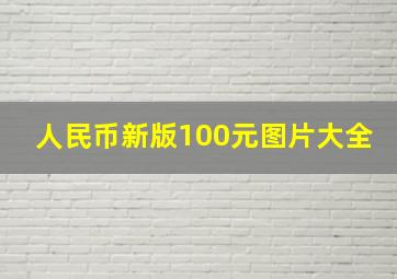 人民币新版100元图片大全