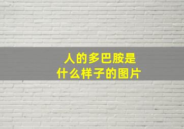 人的多巴胺是什么样子的图片