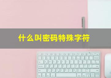 什么叫密码特殊字符