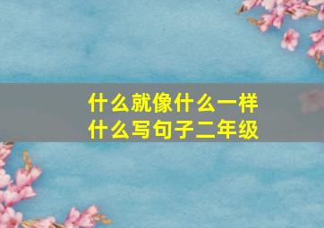 什么就像什么一样什么写句子二年级