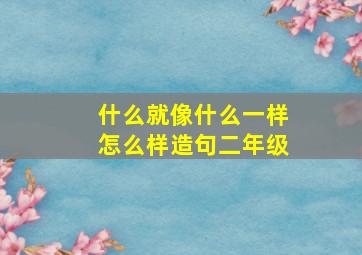 什么就像什么一样怎么样造句二年级