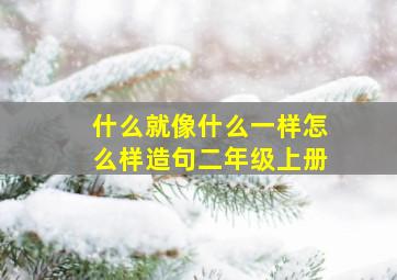 什么就像什么一样怎么样造句二年级上册