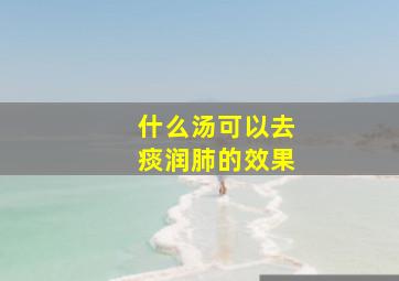 什么汤可以去痰润肺的效果