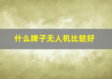 什么牌子无人机比较好