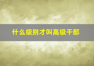 什么级别才叫高级干部