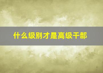 什么级别才是高级干部