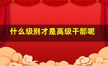 什么级别才是高级干部呢