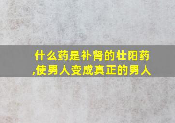 什么药是补肾的壮阳药,使男人变成真正的男人