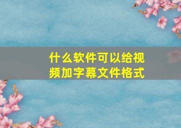 什么软件可以给视频加字幕文件格式