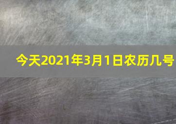 今天2021年3月1日农历几号