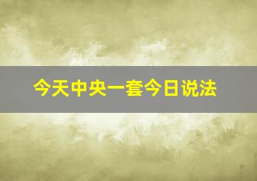 今天中央一套今日说法