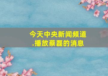 今天中央新闻频道.播放蔡磊的消息