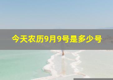 今天农历9月9号是多少号