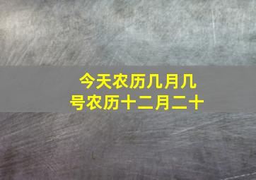 今天农历几月几号农历十二月二十