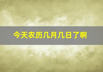 今天农历几月几日了啊