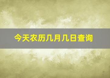 今天农历几月几日查询