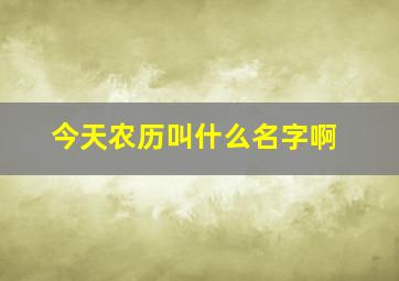 今天农历叫什么名字啊