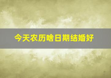 今天农历啥日期结婚好