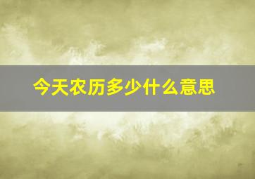 今天农历多少什么意思