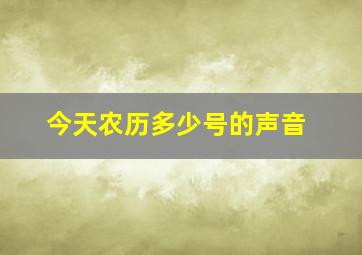 今天农历多少号的声音