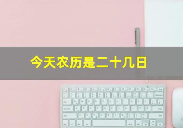 今天农历是二十几日