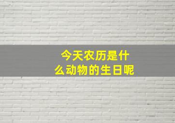 今天农历是什么动物的生日呢