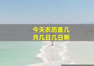 今天农历是几月几日几日啊