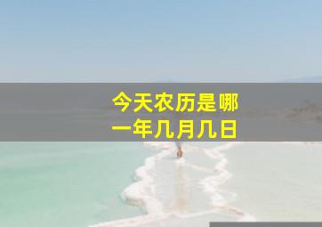 今天农历是哪一年几月几日