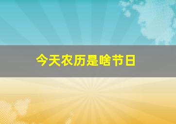 今天农历是啥节日